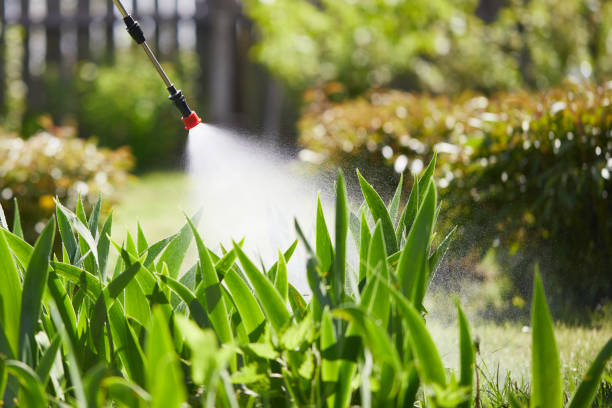 Tamper-Resistant Bait Stations for Rodents in Milford Mill