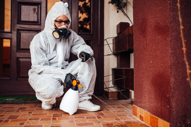 Attic and Crawl Space Rodent Treatment in Milford Mill