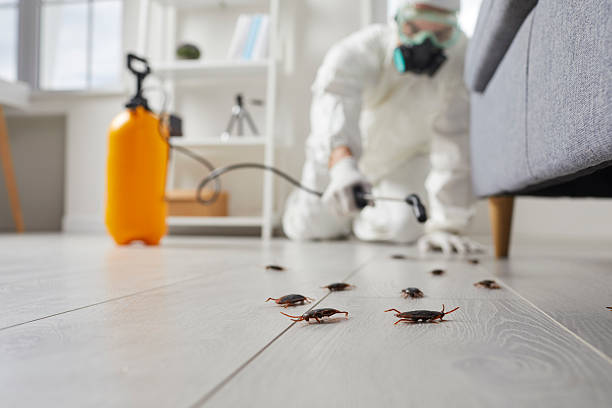 Commercial Rodent Management in Milford Mill
